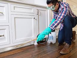 Best Real Estate Pest Inspections  in Gold Hill, OR